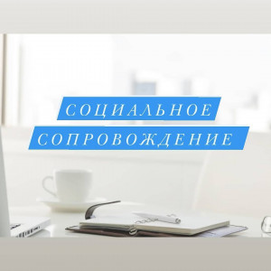 Социальное сопровождение 111