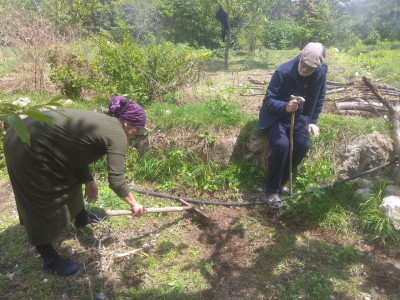 оказывает социально- бытовые услуги подопечным