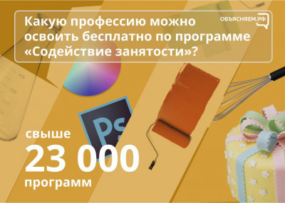Какую профессию можно освоить бесплатно по программе «Содействие занятости»?