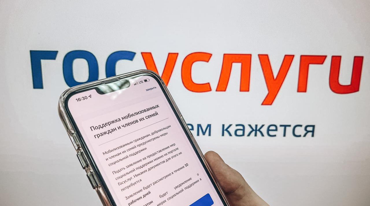 Для семей мобилизованных граждан и добровольцев в Дагестане заработал электронный сервис подачи заявок через единый портал госуслуг (ЕПГУ) по получению дополнительных мер социальных поддержек