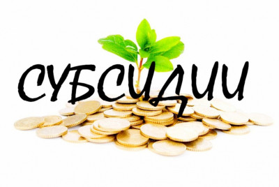 ПРЕДОСТАВЛЕНИЯ СУБСИДИЙ ФОНДОМ СОЦИАЛЬНОГО СТРАХОВАНИЯ РОССИЙСКОЙ ФЕДЕРАЦИИ В 2022 ГОДУ