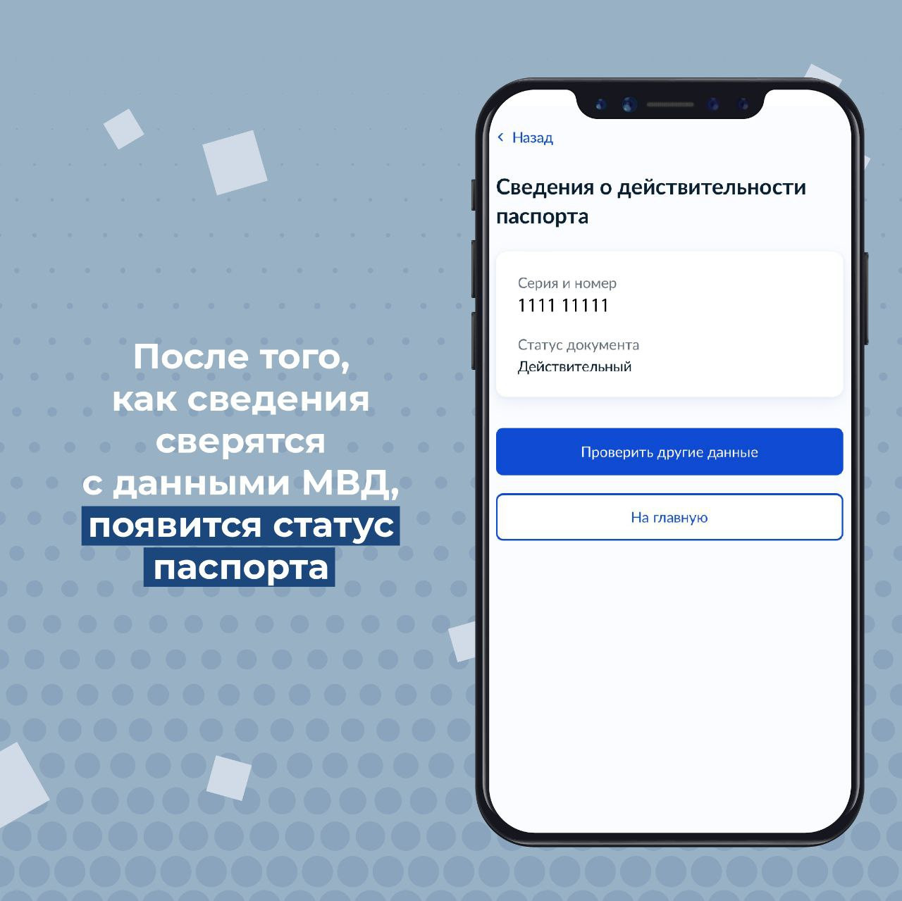 Дагестанцы могут проверить любой паспорт на подлинность на "Госуслугах"