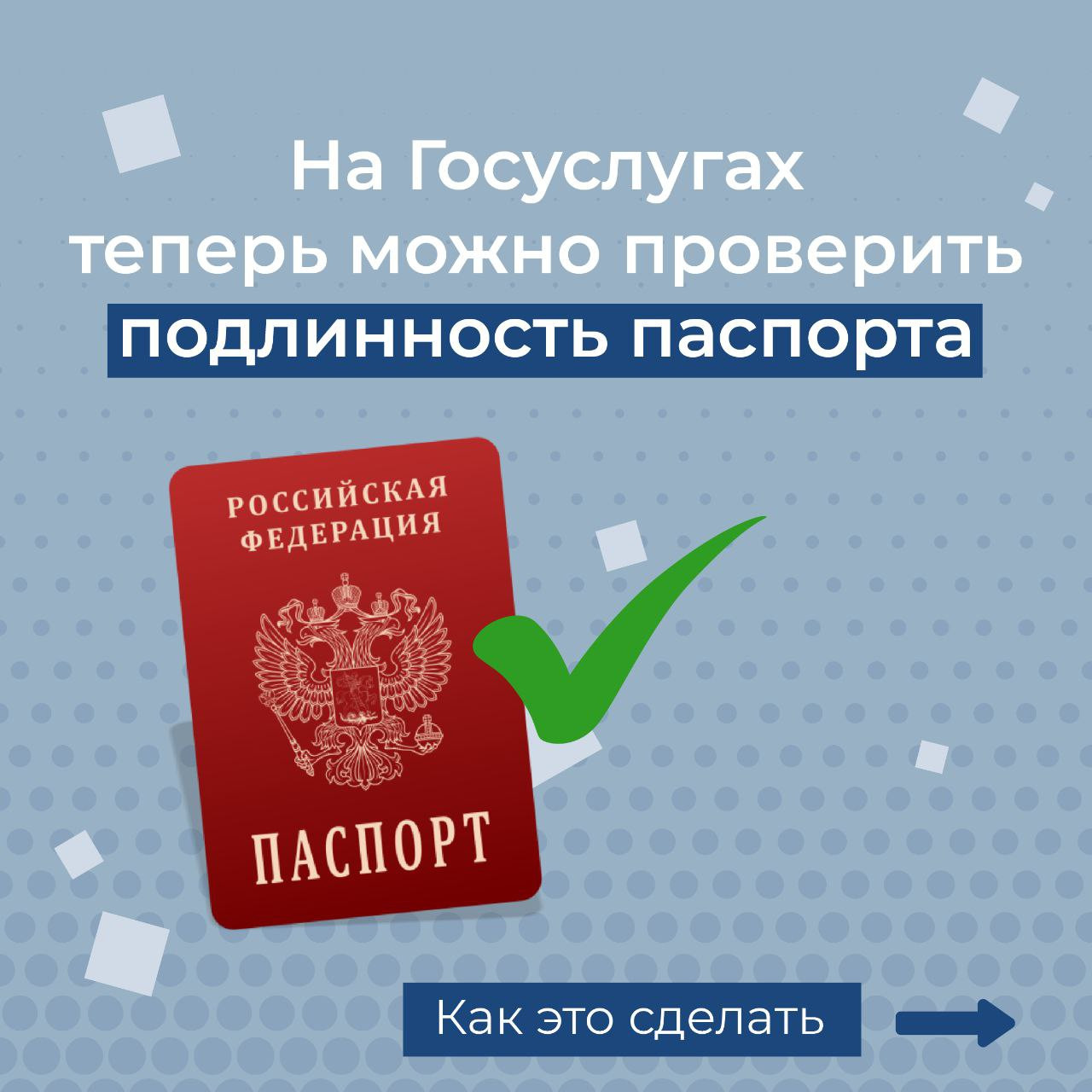 Дагестанцы могут проверить любой паспорт на подлинность на "Госуслугах"