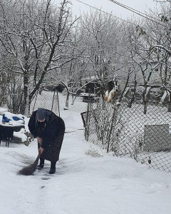 Соц Услуги